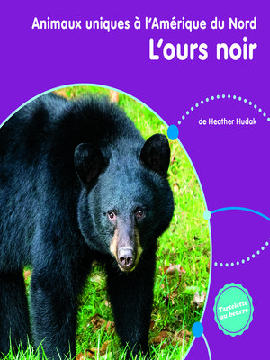 cover image of L'ours noir
